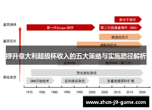 提升意大利超级杯收入的五大策略与实施路径解析