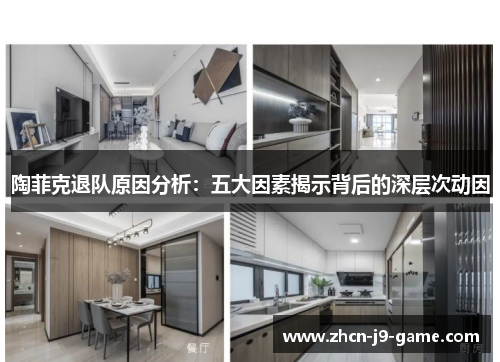 陶菲克退队原因分析:五大因素揭示背后的深层次动因 陶菲克退队原因分析:五大因素揭示背后的深层次动因