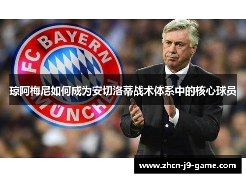 琼阿梅尼如何成为安切洛蒂战术体系中的核心球员