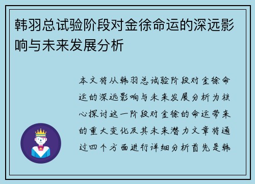 韩羽总试验阶段对金徐命运的深远影响与未来发展分析