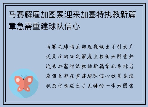 马赛解雇加图索迎来加塞特执教新篇章急需重建球队信心